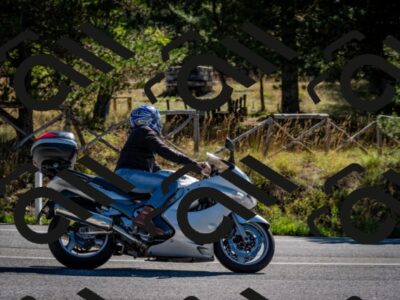 202508311024-DSC_7940_c2