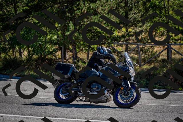 202508311025-DSC_7948_c2