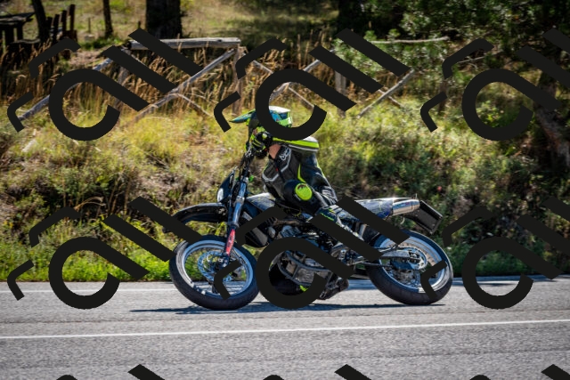 202508311027-DSC_7957_c2