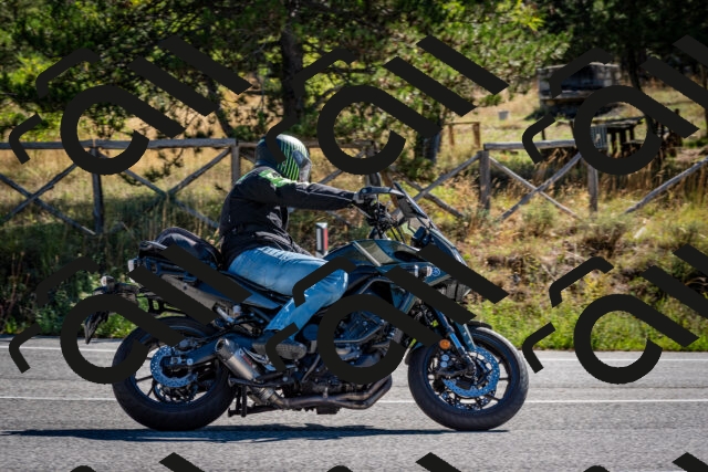 202508311027-DSC_7961_c2