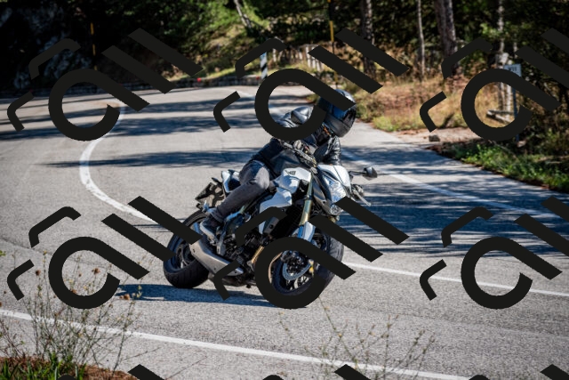 202508311029-DSC_7963_c2