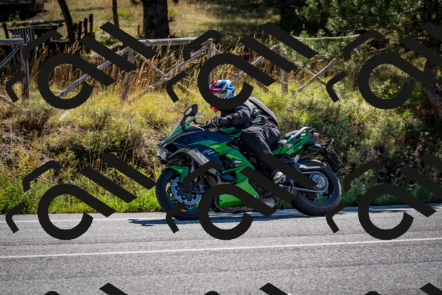 202508311029-DSC_7966_c2