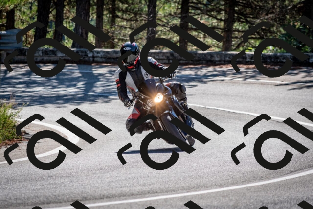 202508311030-DSC_7969_c2