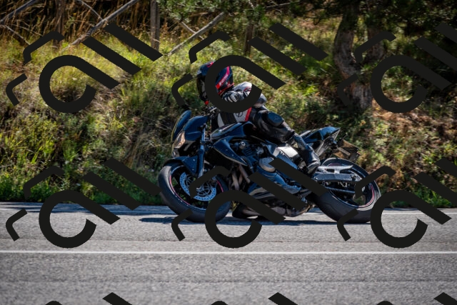 202508311030-DSC_7970_c2