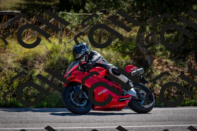 202508311030-DSC_7973_c2