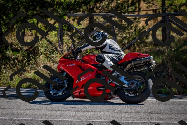 202508311030-DSC_7974_c2