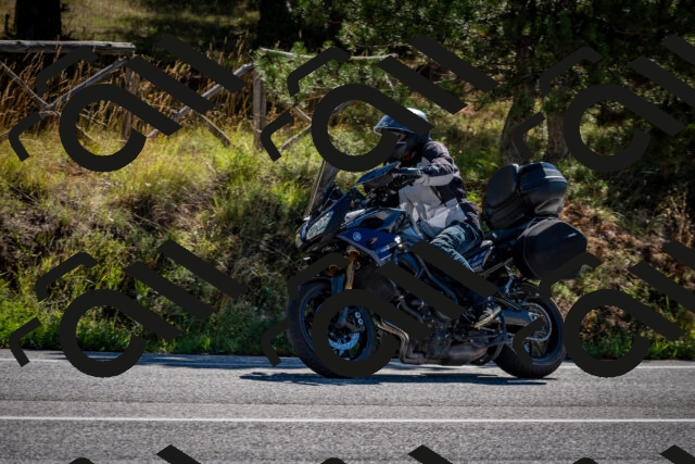 202508311030-DSC_7977_c2