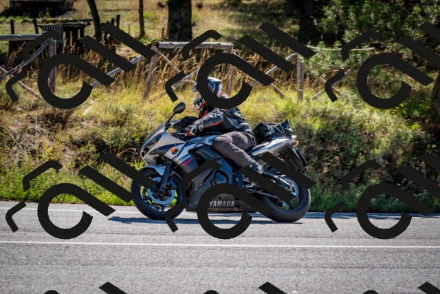 202508311030-DSC_7978_c2