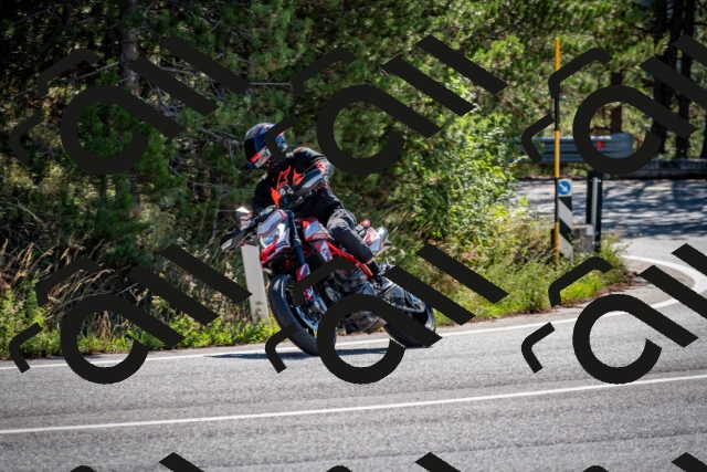 202508311032-DSC_7985_c2