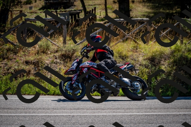 202508311032-DSC_7986_c2