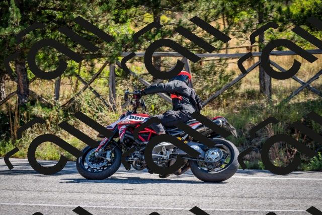 202508311032-DSC_7987_c2