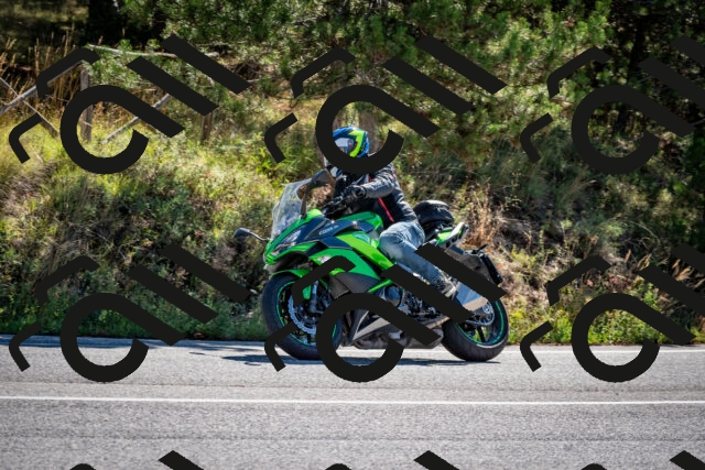 202508311033-DSC_7993_c2