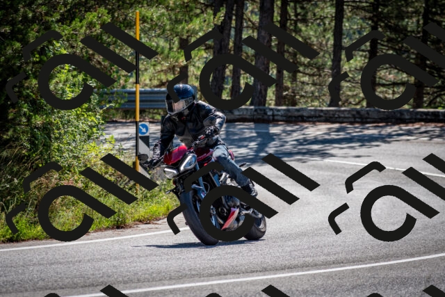 202508311033-DSC_7995_c2