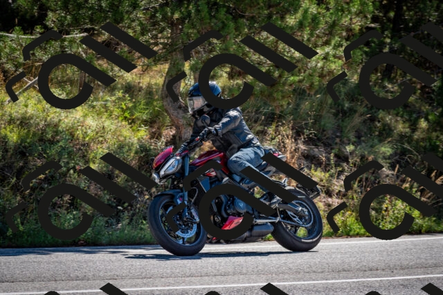 202508311033-DSC_7996_c2