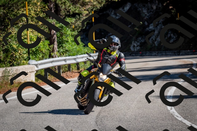 202508311034-DSC_8002_c2