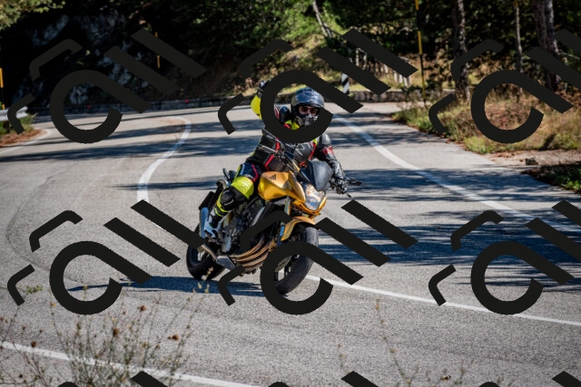 202508311034-DSC_8003_c2