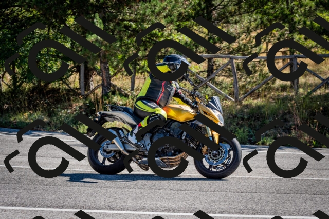 202508311034-DSC_8004_c2