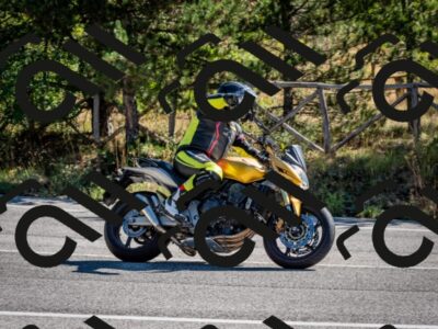 202508311034-DSC_8004_c2