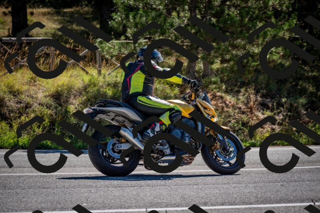 202508311034-DSC_8005_c2