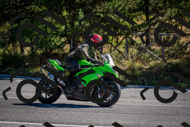 202508311034-DSC_8008_c2