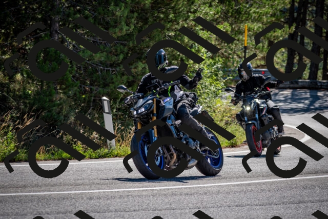 202508311036-DSC_8012_c2