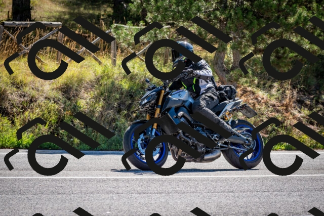 202508311036-DSC_8013_c2