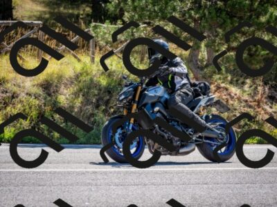 202508311036-DSC_8013_c2