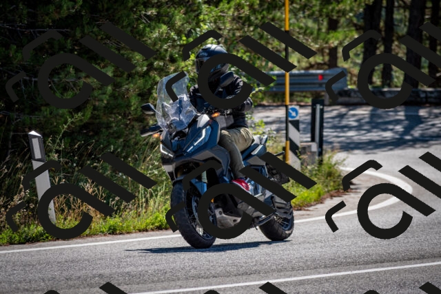 202508311037-DSC_8017_c2