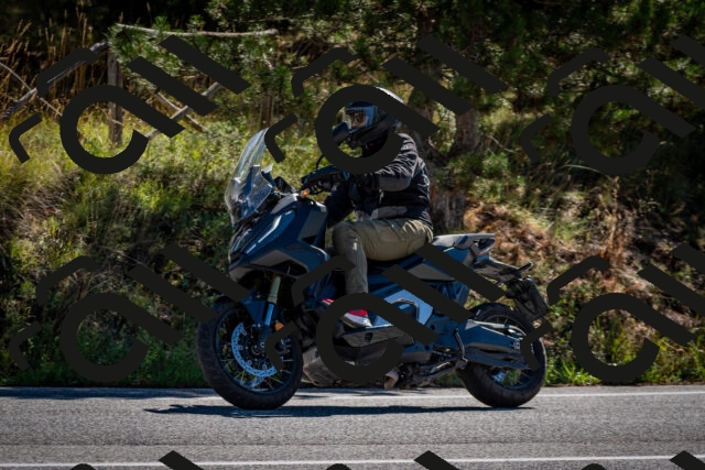 202508311037-DSC_8018_c2