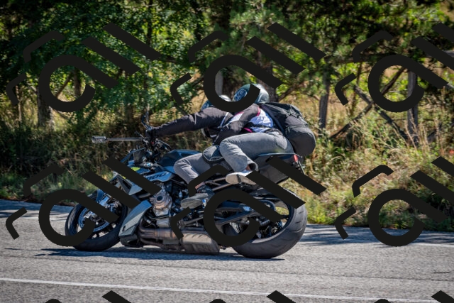 202508311038-DSC_8024_c2