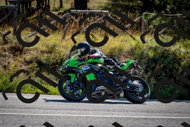 202508311038-DSC_8027_c2