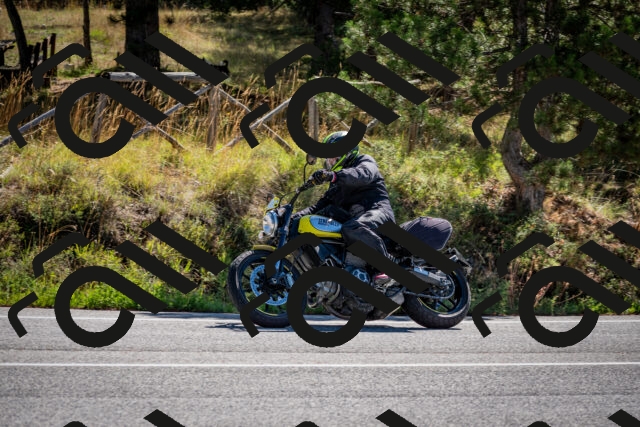 202508311042-DSC_8038_c2