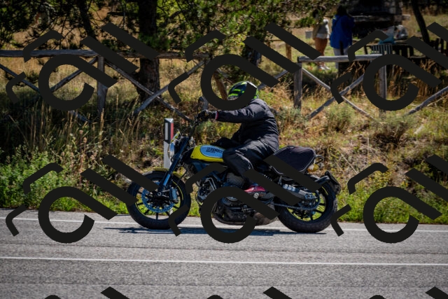 202508311042-DSC_8039_c2