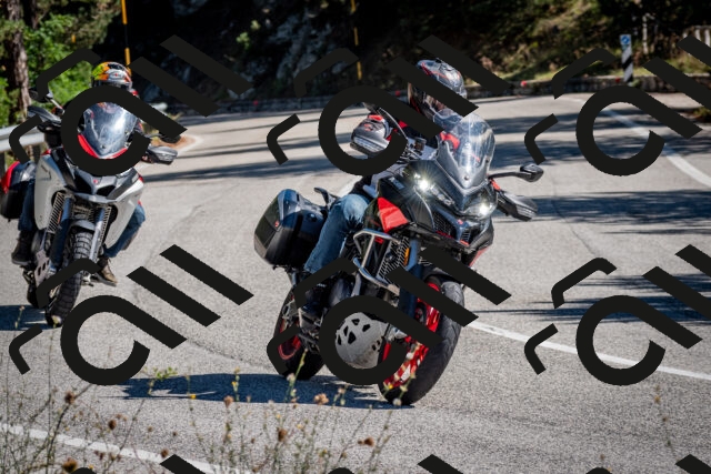 202508311042-DSC_8041_c2