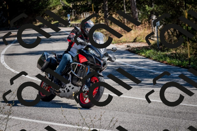 202508311042-DSC_8042_c2