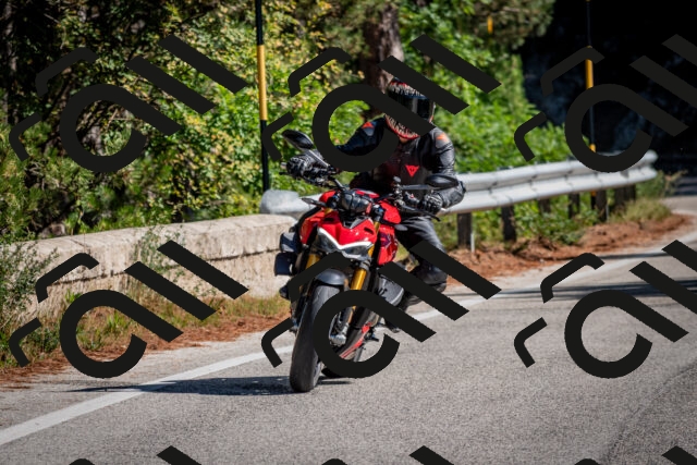 202508311043-DSC_8047_c2