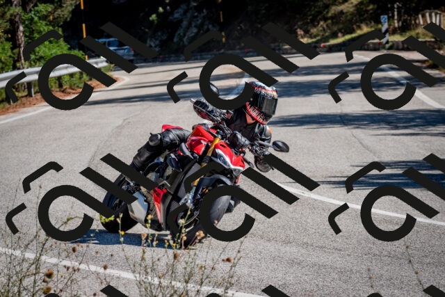 202508311043-DSC_8048_c2