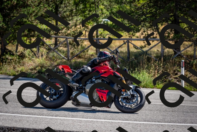 202508311043-DSC_8050_c2