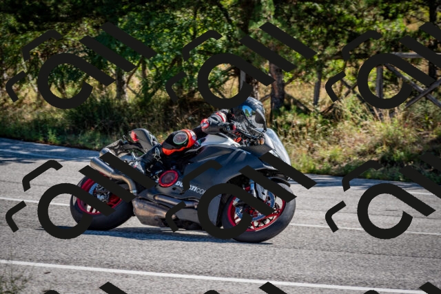 202508311043-DSC_8054_c2