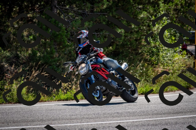 202508311045-DSC_8061_c2