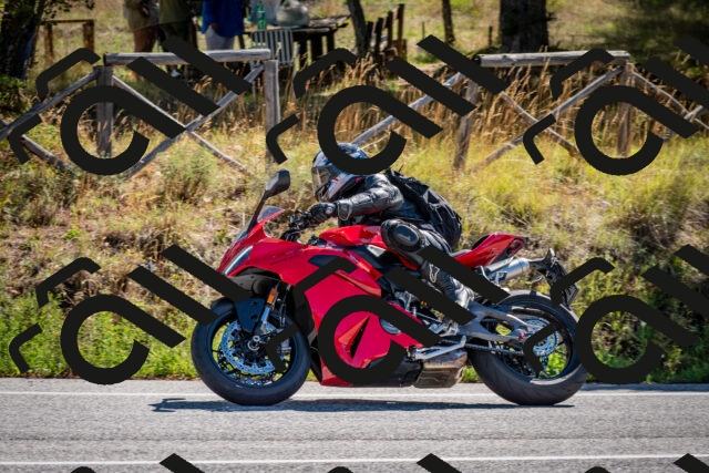 202508311045-DSC_8064_c2