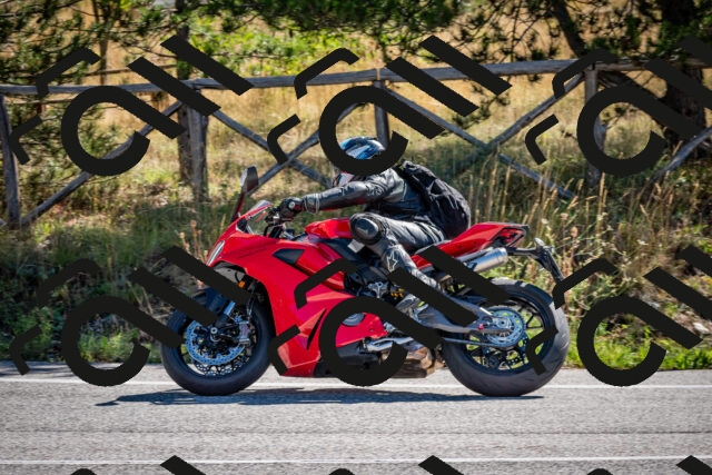 202508311045-DSC_8065_c2