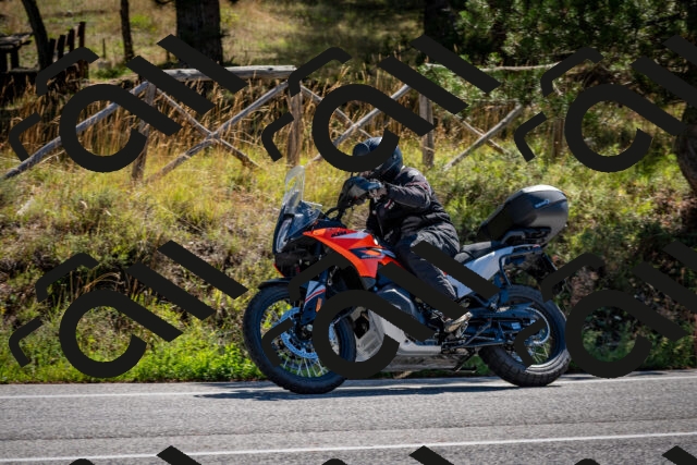 202508311045-DSC_8068_c2