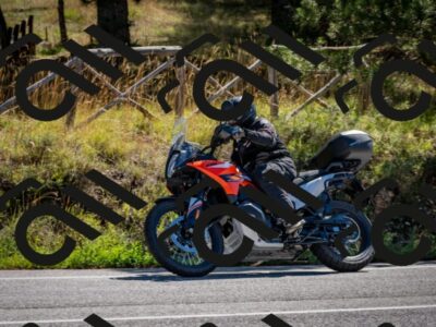 202508311045-DSC_8068_c2