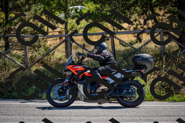 202508311045-DSC_8069_c2