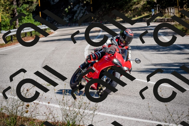 202508311046-DSC_8070_c2