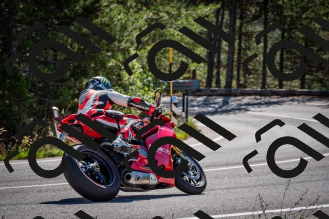 202508311046-DSC_8073_c2