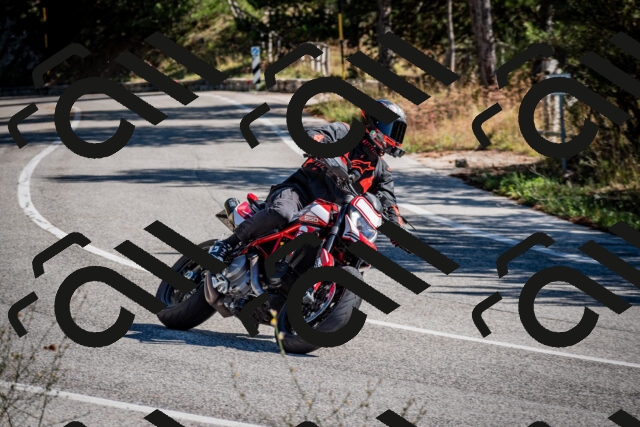 202508311048-DSC_8078_c2