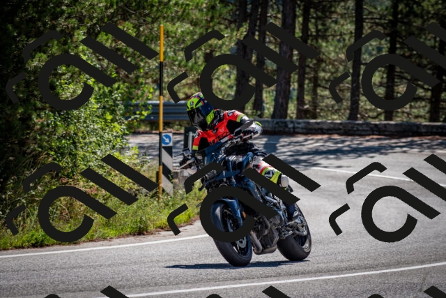 202508311049-DSC_8081_c2