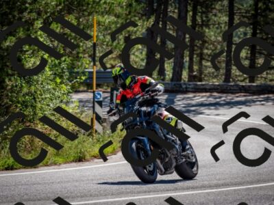 202508311049-DSC_8081_c2